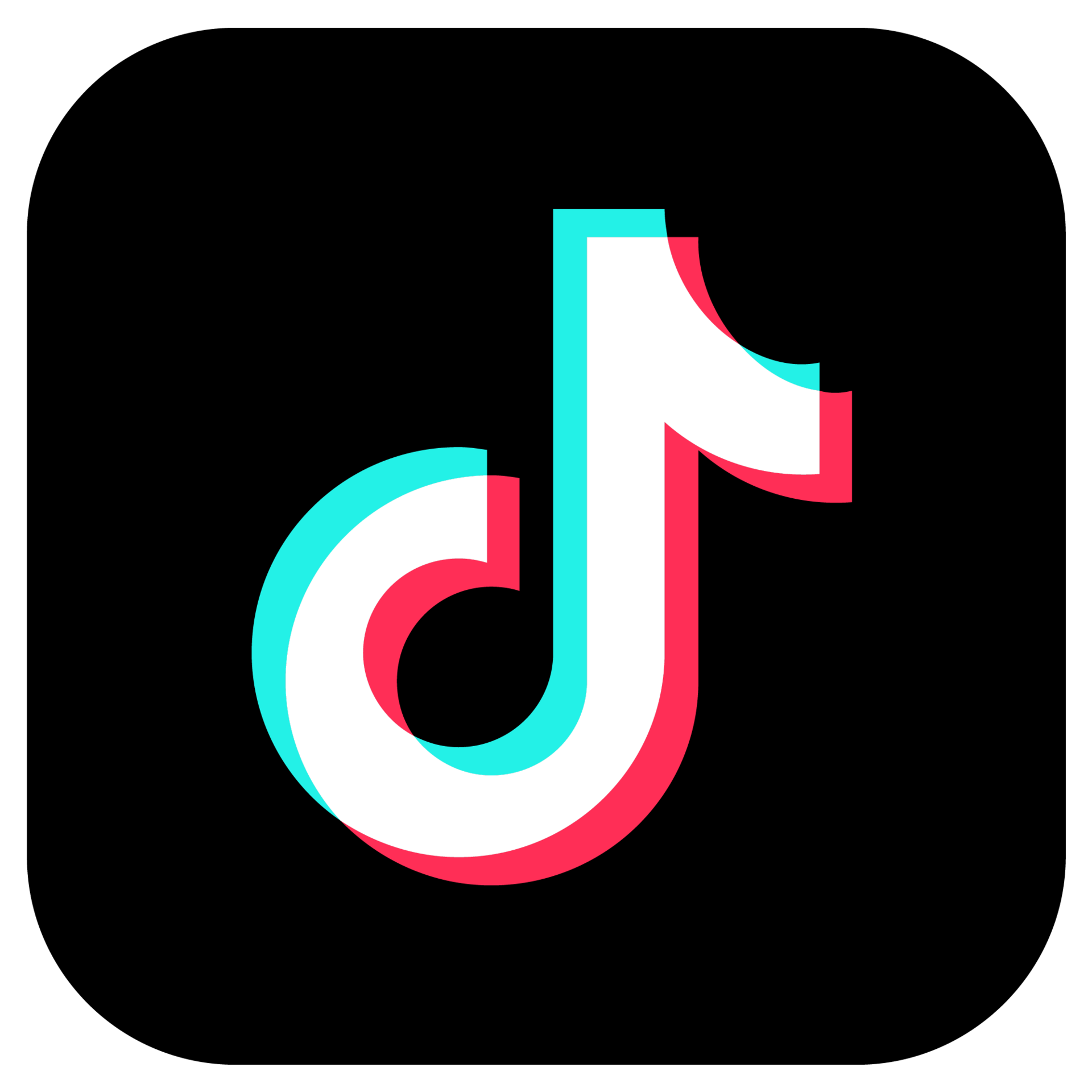 TikTok Followers [Refill: Yes]